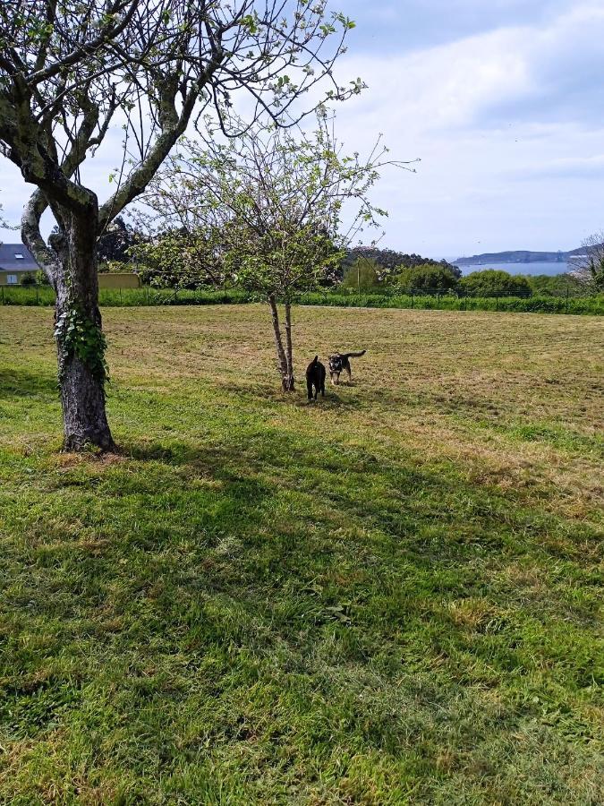 Pozo Das Leiras-Izquierda- Ares Kültér fotó